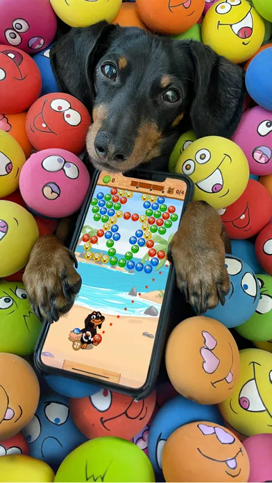 Crusoe Squeaky Ball Bubble POP screenshot 1