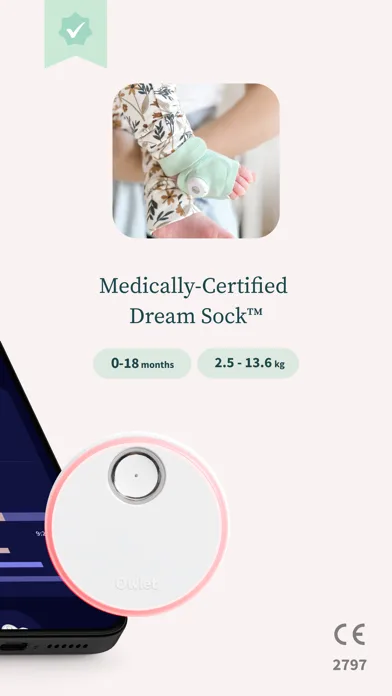Owlet Dream screenshot 2