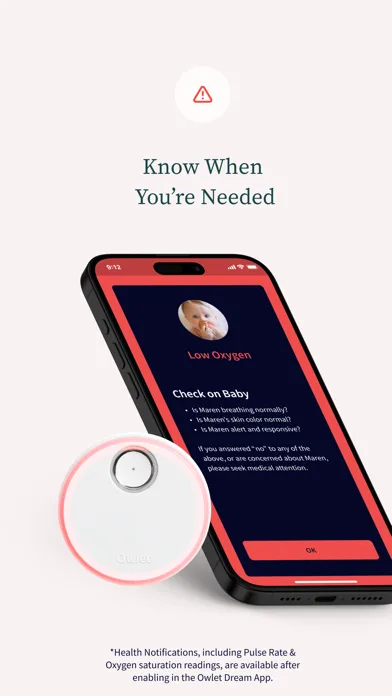 Owlet Dream screenshot 4