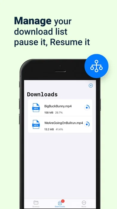 D Manager IDM screenshot 2