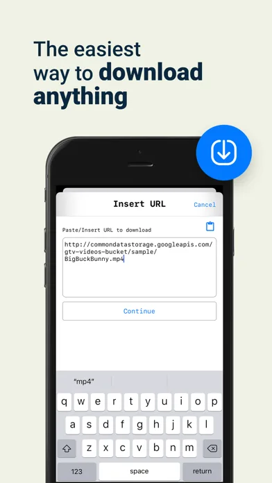 D Manager IDM screenshot 4