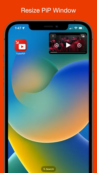 YubePiP: PiP Video Player screenshot 5