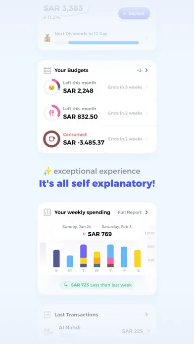 Drahim: Manage & Grow Finances screenshot 5