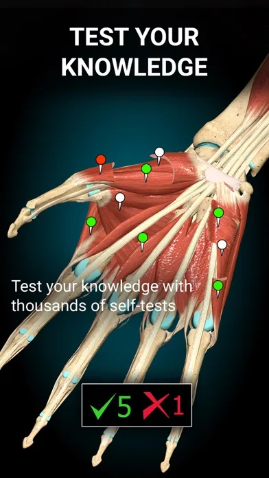 Anatomy Learning - 3D Anatomy screenshot 2