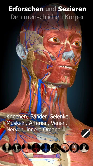 Anatomy Learning - 3D Anatomy screenshot 3