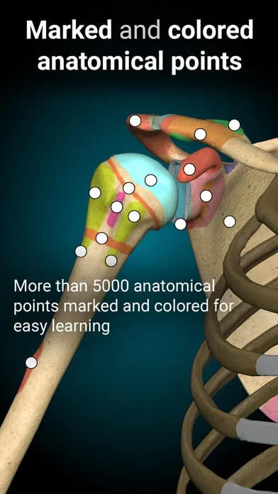 Anatomy Learning - 3D Anatomy screenshot 4