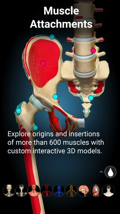 Anatomy Learning - 3D Anatomy screenshot 5