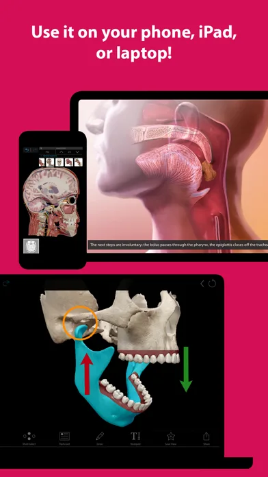 Visible Body Suite screenshot 3