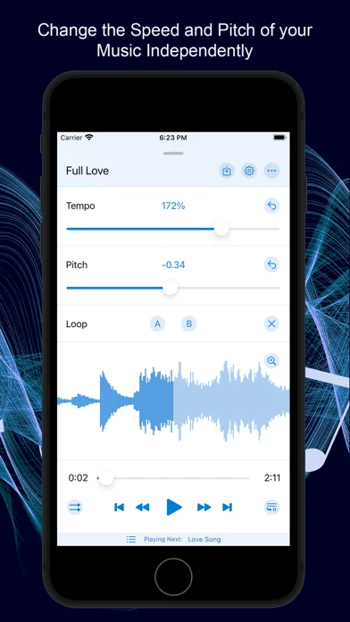 Music Speed Changer ▶▶▶ screenshot 1