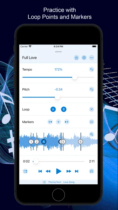 Music Speed Changer ▶▶▶ screenshot 2