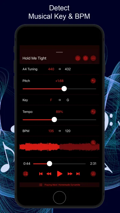 Music Speed Changer ▶▶▶ screenshot 5
