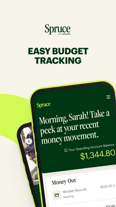 Spruce – Mobile banking screenshot 1