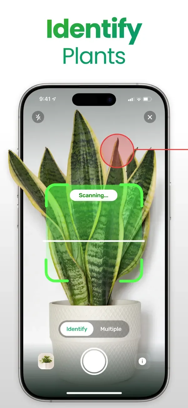 Plant App: Plant Identifier screenshot 1