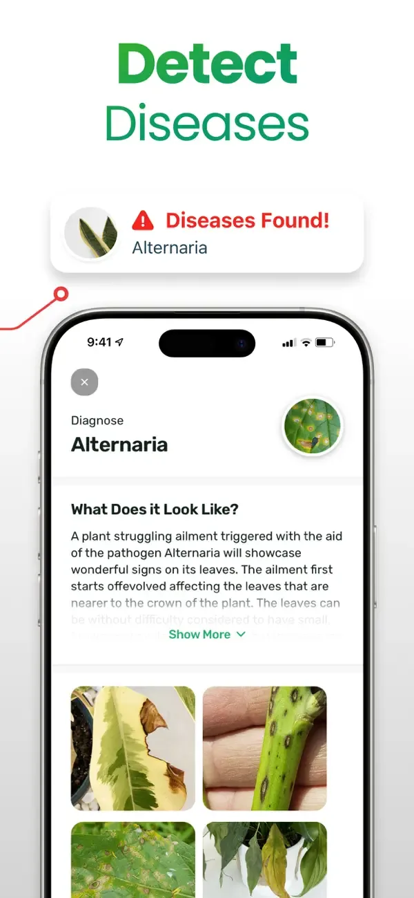 Plant App: Plant Identifier screenshot 2