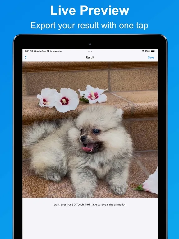 Video to Live Wallpaper screenshot 5