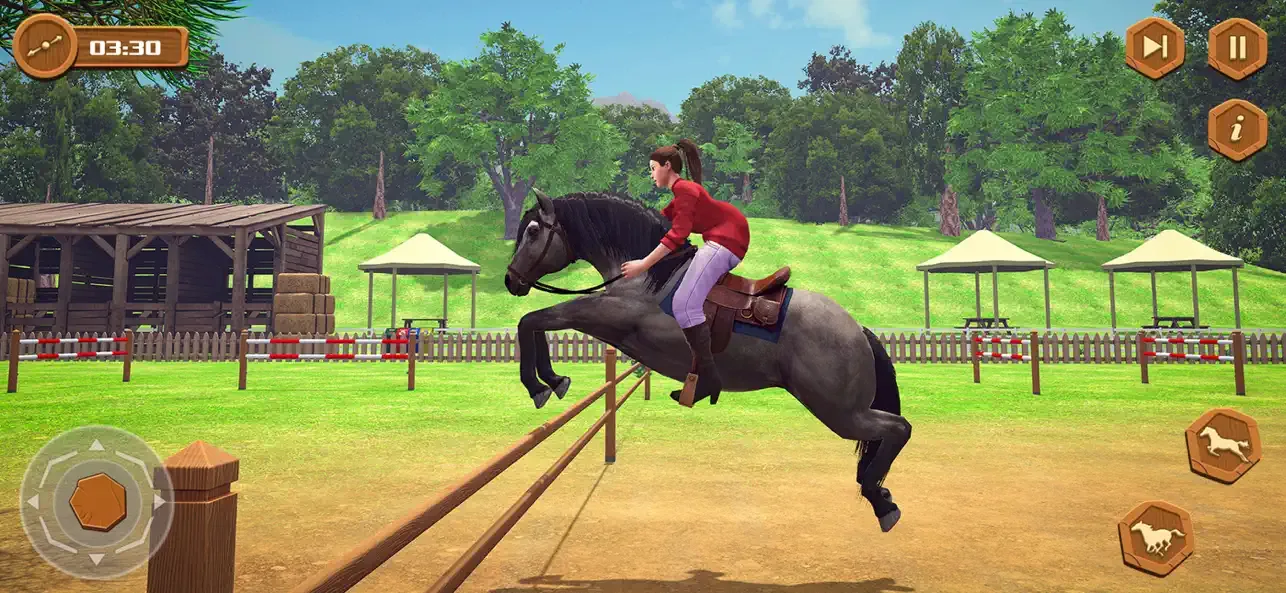 My Wild Horse Riding Stories screenshot 3