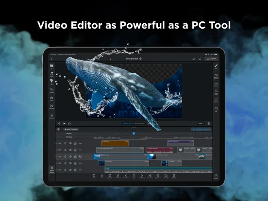 WEILO - My Last Video Editor screenshot 1