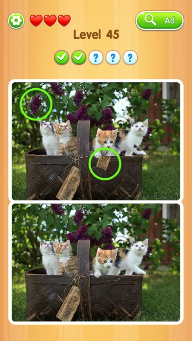 Detect It Picture Puzzle screenshot 3