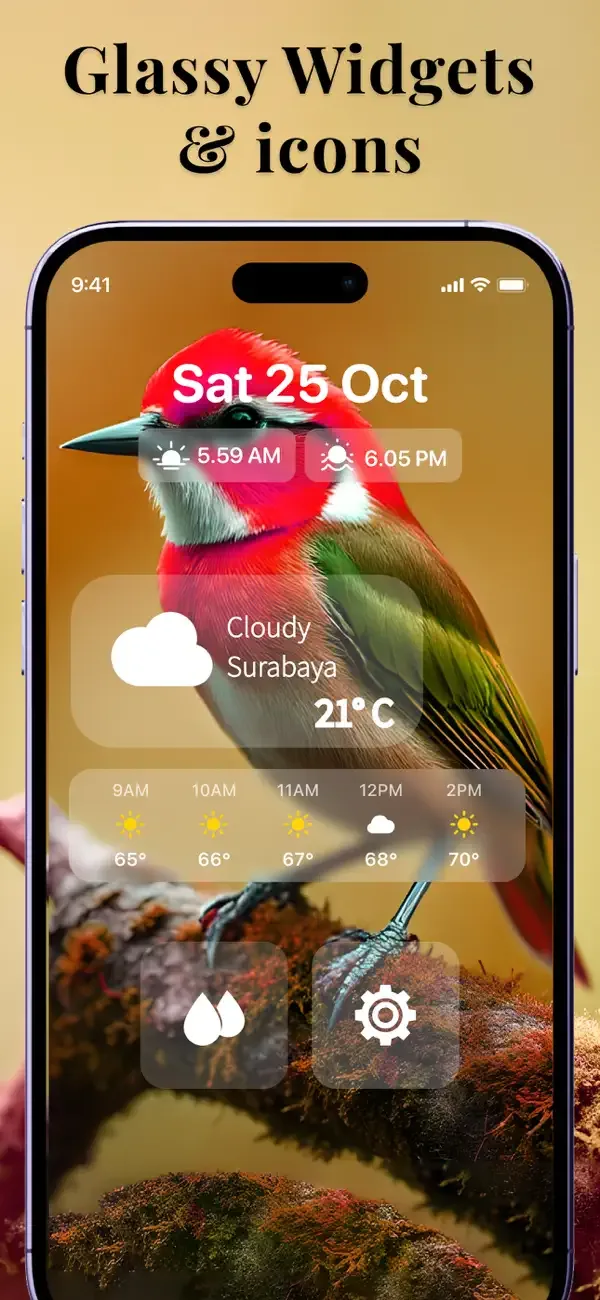 Lock Screen 26: Widgets & Icon screenshot 3