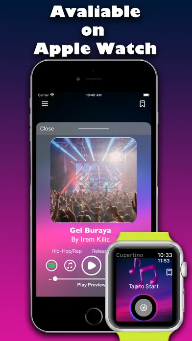 Identify Song screenshot 3