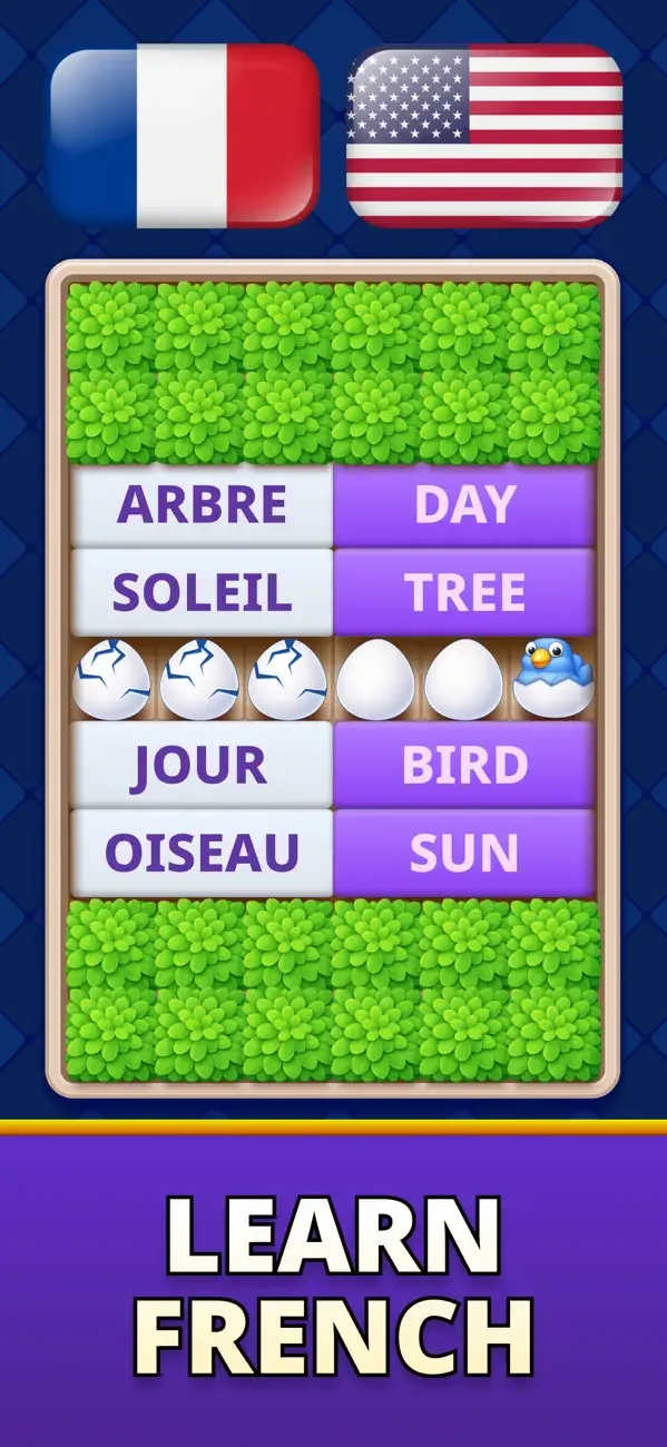 MomoLingo: study all languages screenshot 3