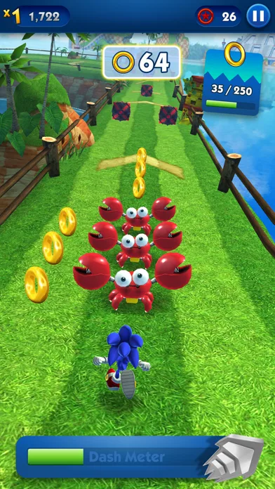 Sonic Dash+ screenshot 1