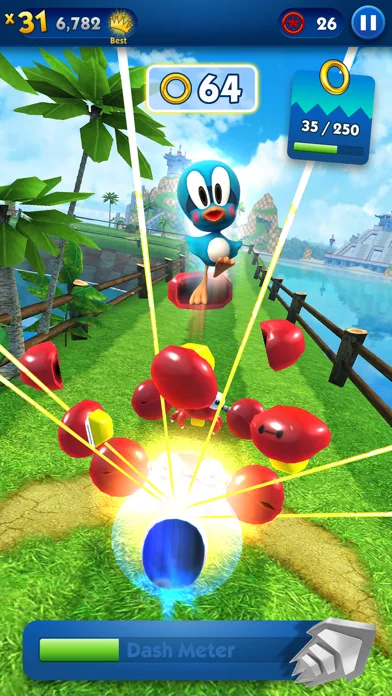 Sonic Dash+ screenshot 4