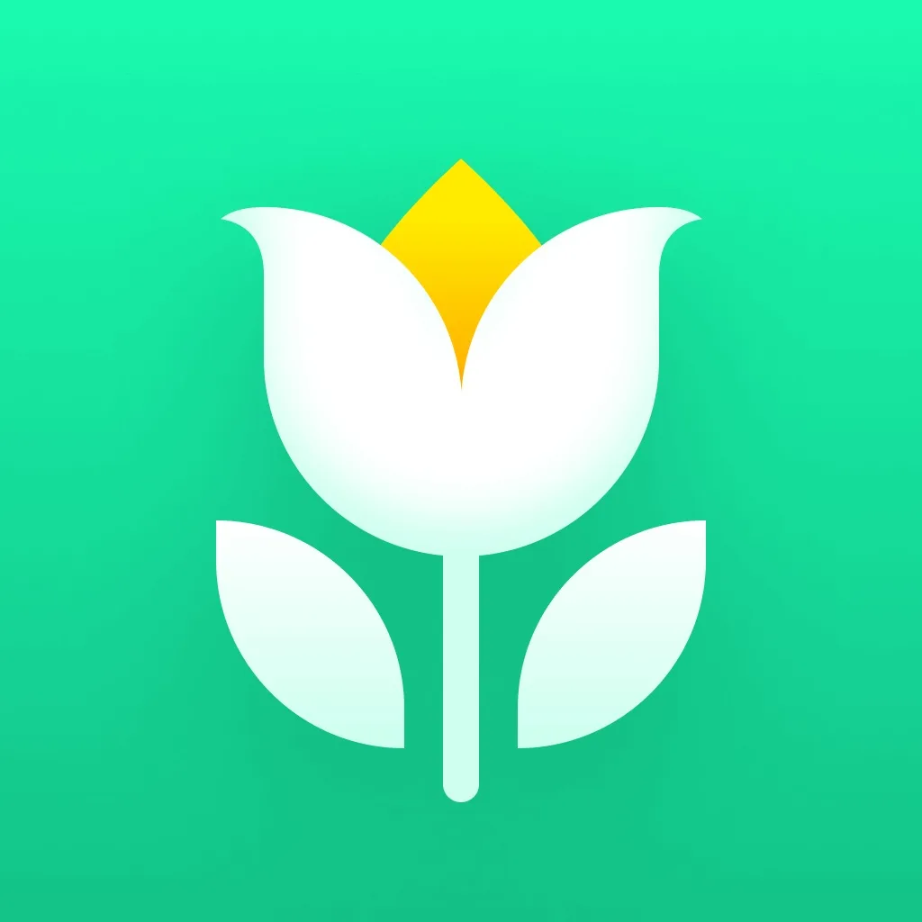Plant Parent: Plant Care Guide