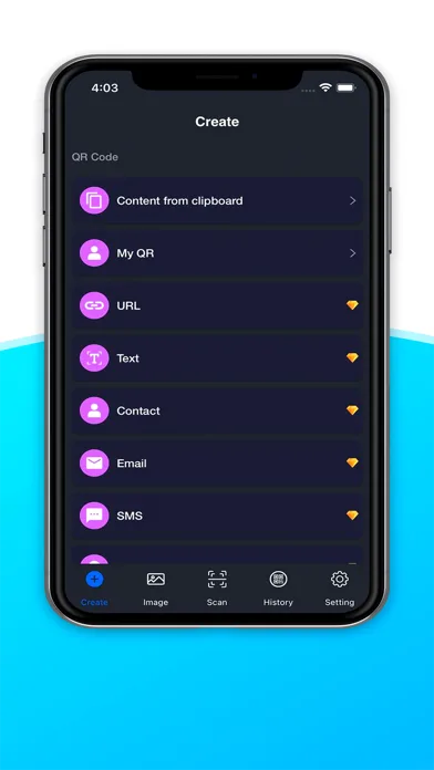 iQR Pro E screenshot 4