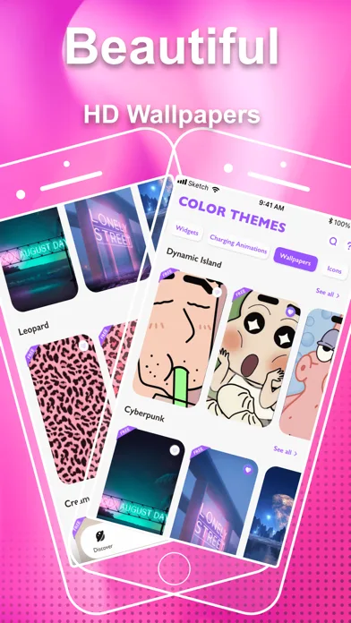Color Themes: Standby & Widget screenshot 3