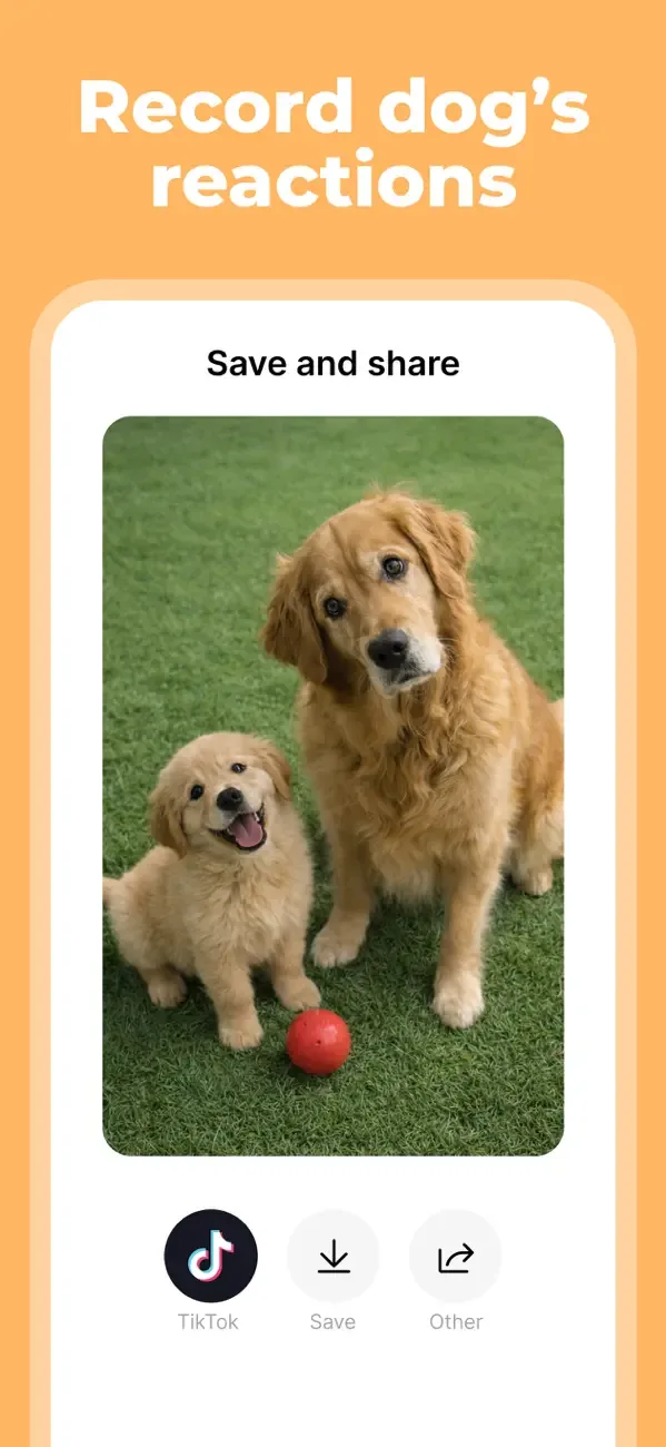 Dog Translator: Bark Sounds screenshot 5