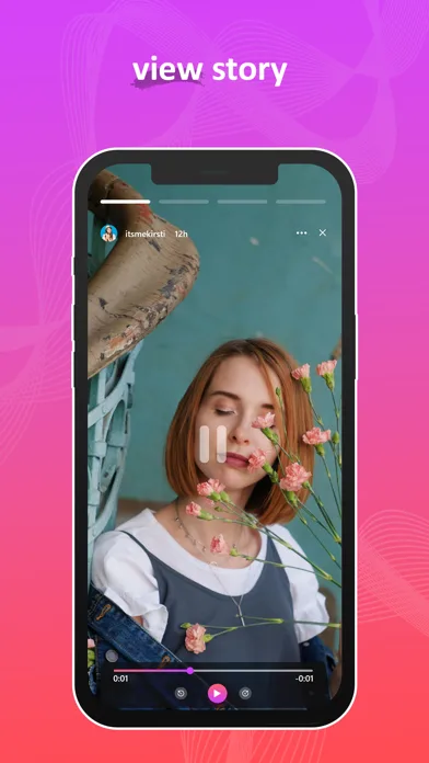 InstSaver screenshot 5