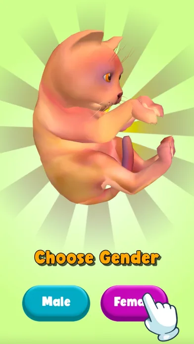 Cat Life Simulator! screenshot 1