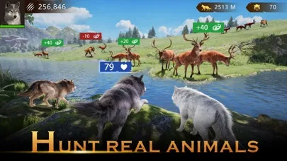 Wolf Game: Wild Animal Wars screenshot 1