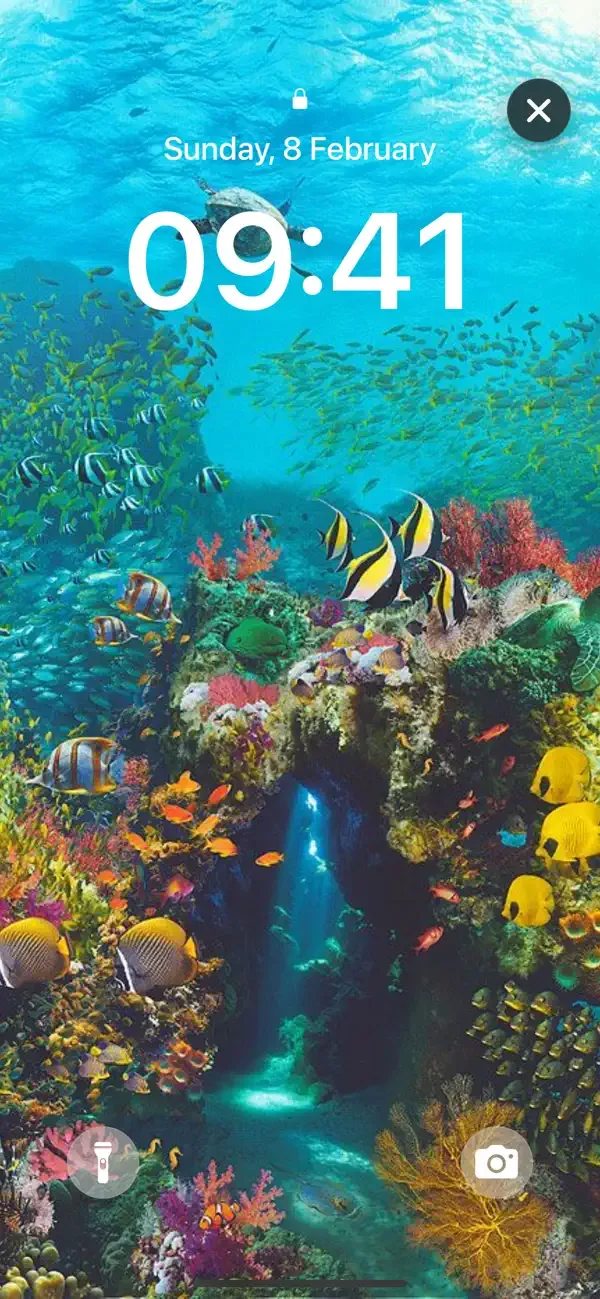 Aquarium 3D: Live Wallpapers screenshot 4