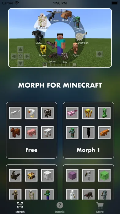 MCPE ADDONS - Morph Mods screenshot 2
