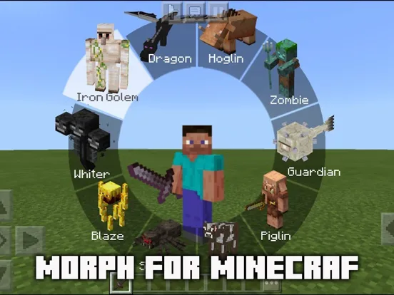 MCPE ADDONS - Morph Mods screenshot 5