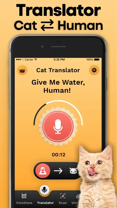 Cat Translator screenshot 2