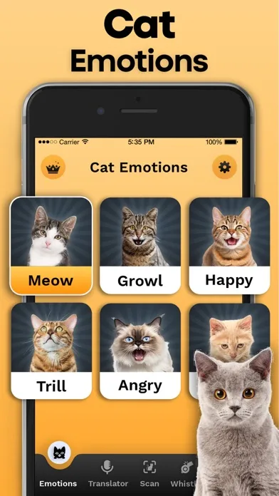 Cat Translator screenshot 3