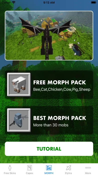 Morph Mod - Mods for Minecraft screenshot 2