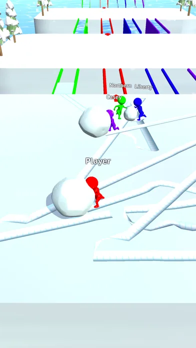 Snow Race!! screenshot 1