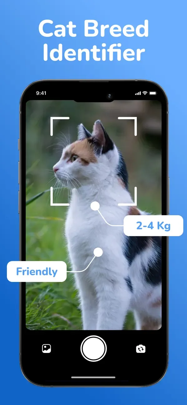 Cat Breed Identifier: Pet Scan screenshot 1
