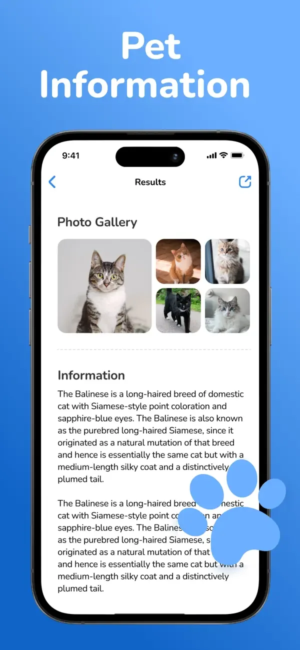 Cat Breed Identifier: Pet Scan screenshot 3