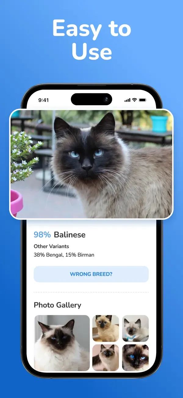Cat Breed Identifier: Pet Scan screenshot 4