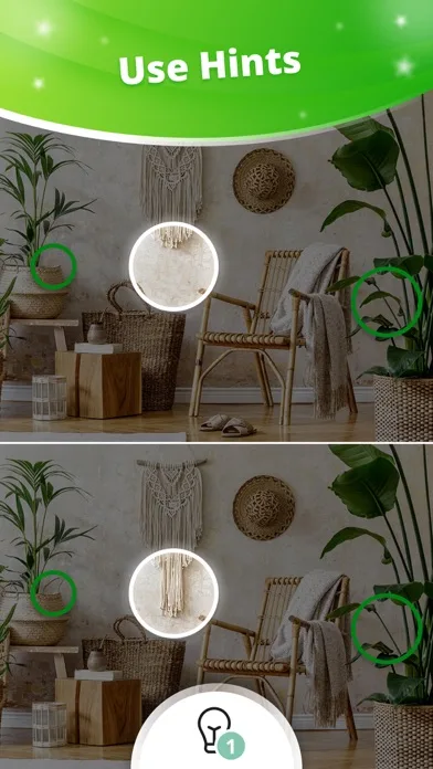 Find Five: Spot the Difference screenshot 3