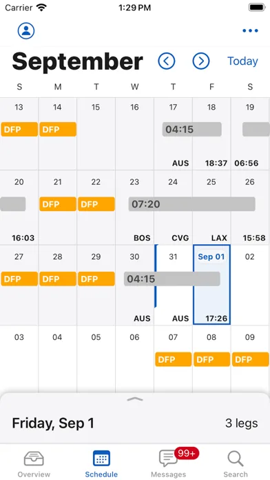 AA Crew Check In screenshot 2