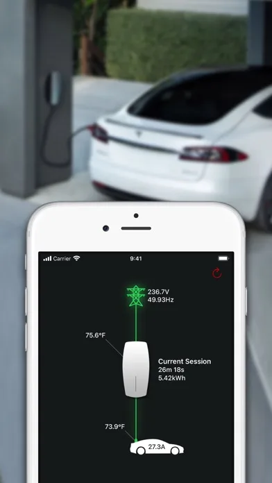 Wall Monitor for Tesla screenshot 1