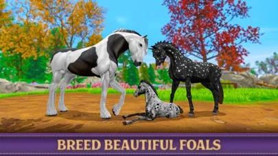 Star Equestrian - Horse Ranch screenshot 1