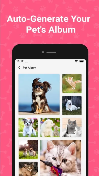 Cat & Dog Translator - Dogify screenshot 5