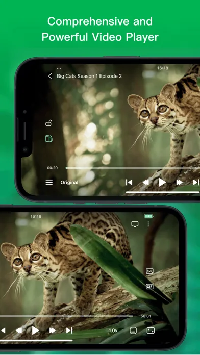 VidHub -Video Library & Player screenshot 2